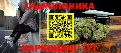 прущие грибы Конаково