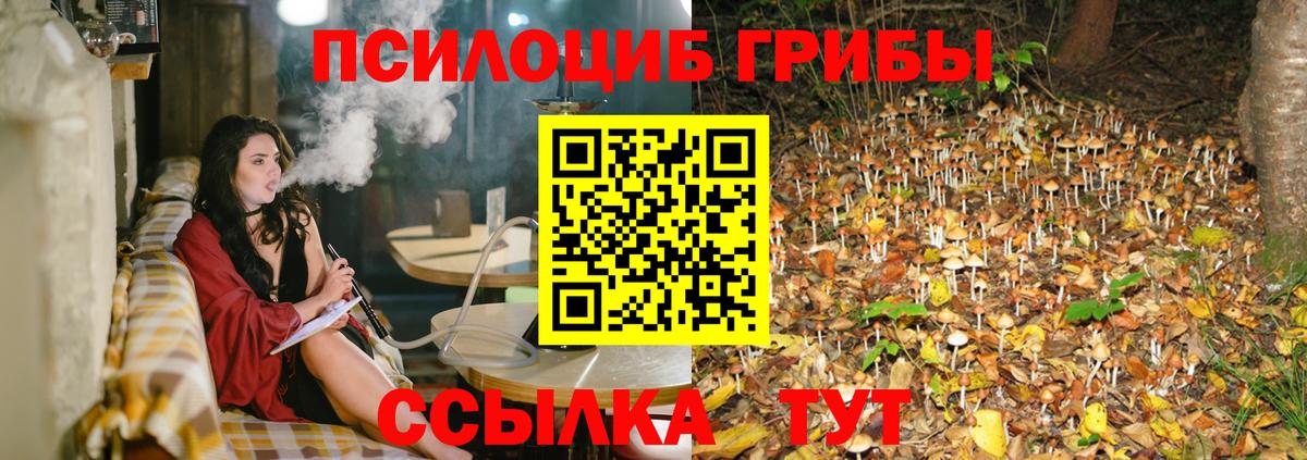 Кудрово  Галлюциногенные грибы прущие грибы  Вход с VPN 