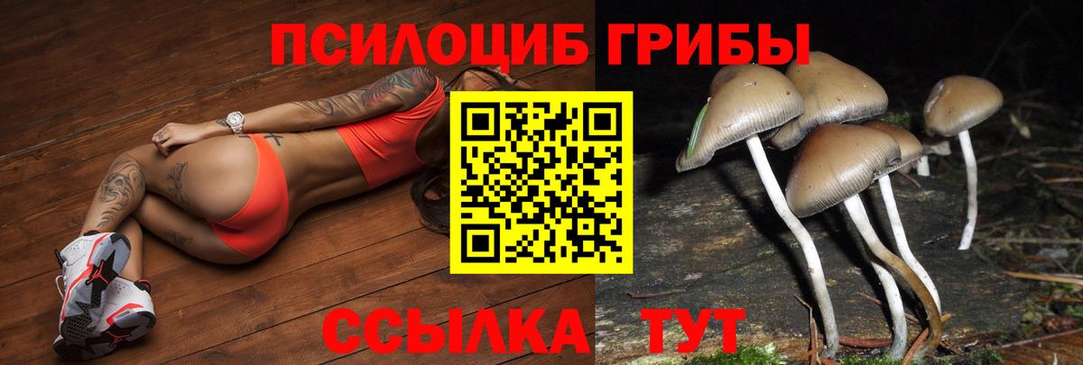 Галлюциногенные грибы Psilocybine cubensis Кудрово